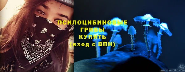 прущие грибы Верея
