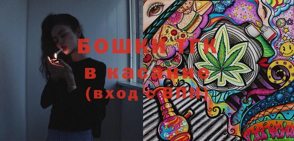 прущие грибы Верея