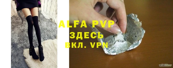 прущие грибы Верея