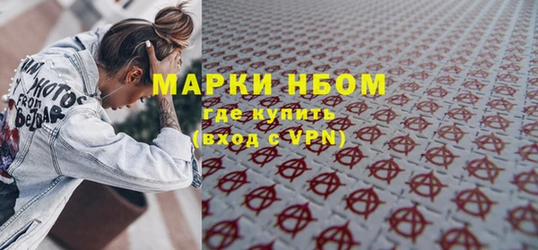 прущие грибы Верея