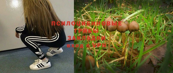 сатива Верхний Тагил