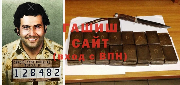 прущие грибы Верея
