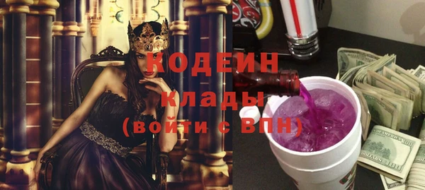 прущие грибы Верея