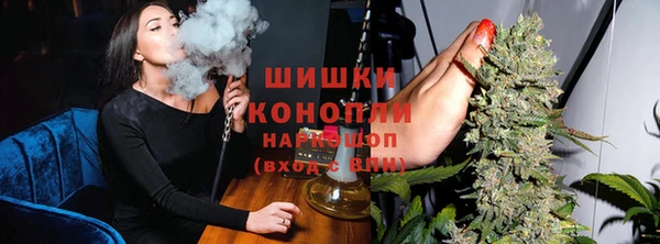 сатива Верхний Тагил