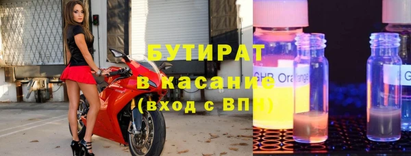 прущие грибы Верея