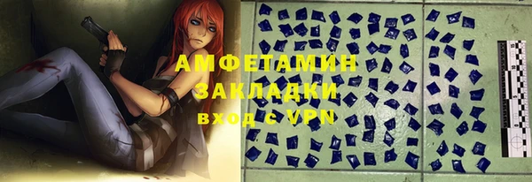 прущие грибы Верея