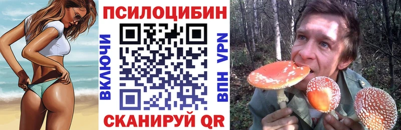 Псилоцибиновые грибы мицелий  Батайск 